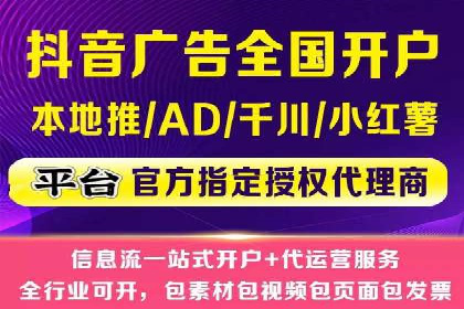 专业SEM服务公司案例分析报告